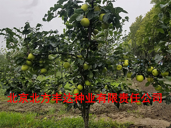 �������������ҵ���޹�˾